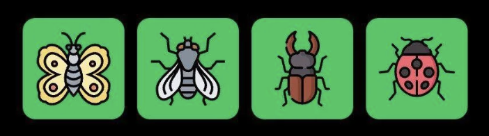 FLIES Daily Combo 29 May 2025